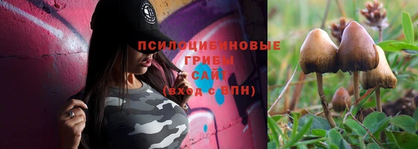 метадон Богородицк