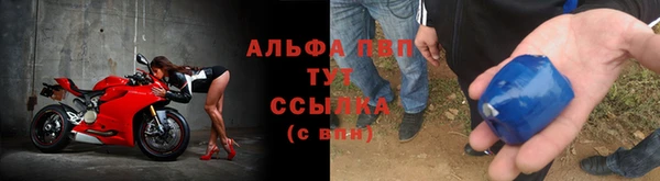 тгк Богданович