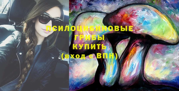 тгк Богданович